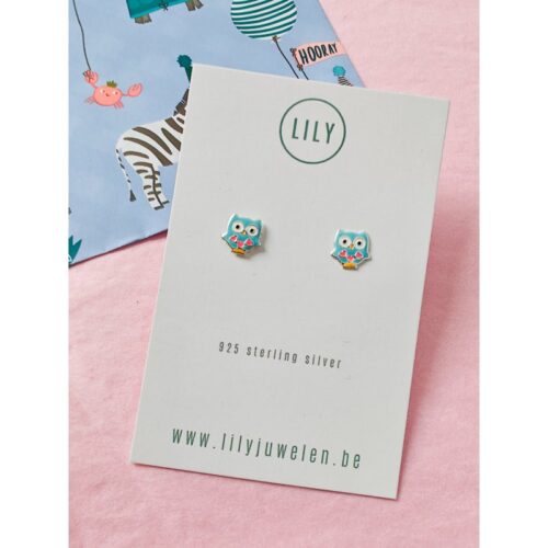 Handgemaakte kinderoorbellen schattige uiltje - Afbeelding 2